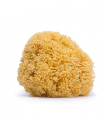 SUAVINEX ESPONJA NATURAL GRANDE Accesorios de baño y Accesorios del bebe