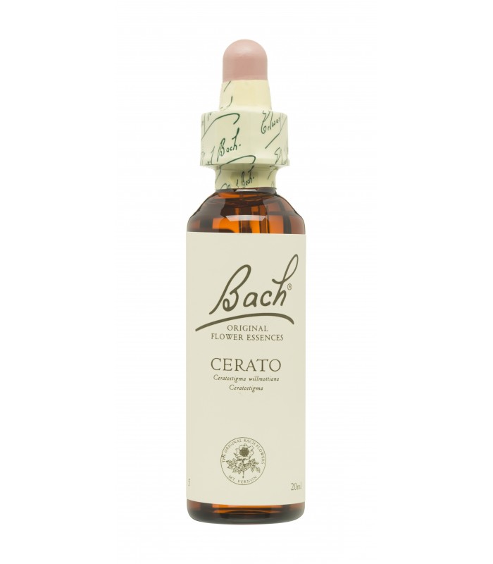 BACH ORIGINAL 05 CERATO 20ML Inicio y  - FAES FARMA