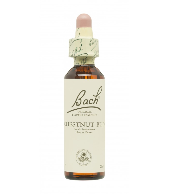 BACH ORIGINAL 07 CHESTNUT BUD 20ML Inicio y  - FAES FARMA