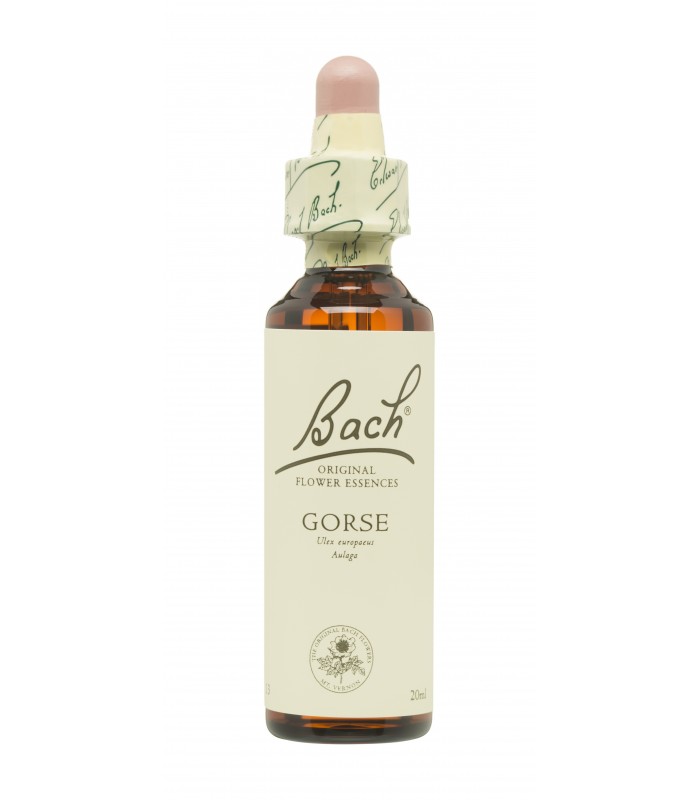 BACH ORIGINAL 13 GORSE 20ML Inicio y  - FAES FARMA