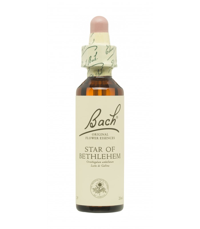 BACH ORIGINAL 29 STAR OF BETHLEHEM 20ML Inicio y  - FAES FARMA