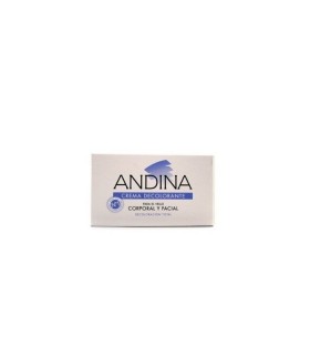 ANDINA CREMA 100 ML Higiene y Inicio - FARDI