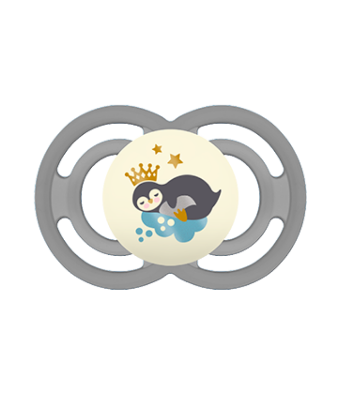 MAM CHUPETE SILICONA PERFECT NIGHT GRIS +16M