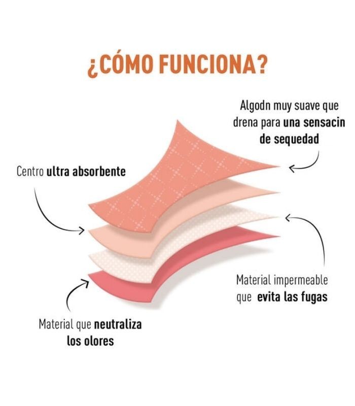 DIM PROTECT BRAGA MENSTRUAL ABUNDANTE TALLA 38/40 Inicio y  - 