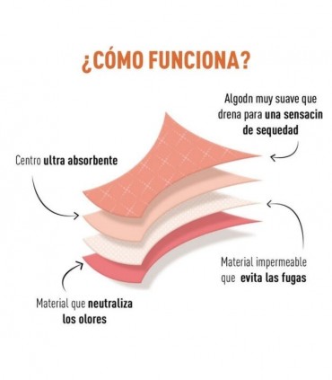 DIM PROTECT BRAGA MENSTRUAL ABUNDANTE TALLA 38/40 Inicio y  - 