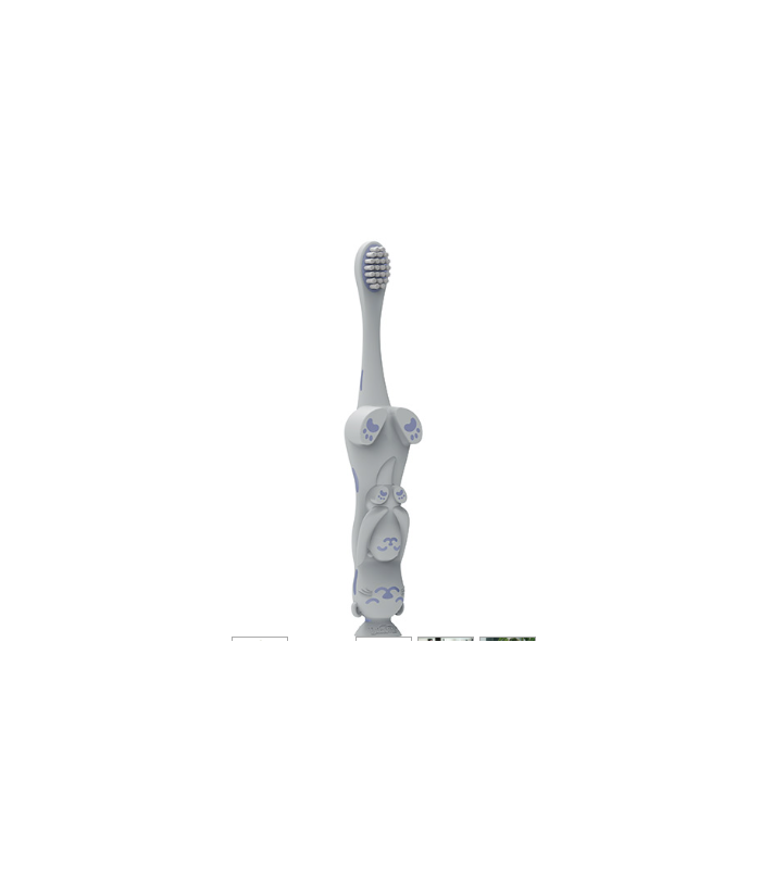 DR BROWN'S CEPILLO DE DIENTES NUTRIA 1-4 AÑOS Higiene y Inicio - DR BROWNS