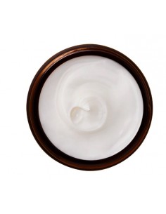 PERRICONE MD ESSENTIA FX INTENS NIGHT MOST 59ML Inicio y  - PERRICONE MD 2