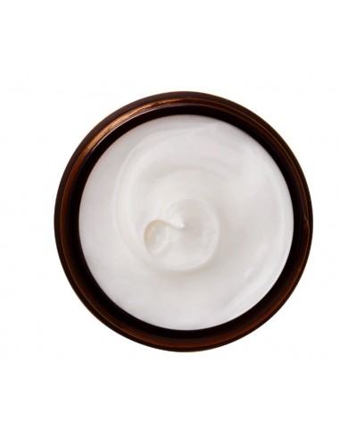 PERRICONE MD ESSENTIA FX INTENS NIGHT MOST 59ML Inicio y  - PERRICONE MD