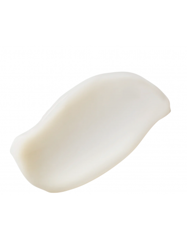 PERRICONE MD HIGH POTENCY HYALURONIC INTENSIVE MOISTURIZER 30ML Inicio y  - PERRICONE MD