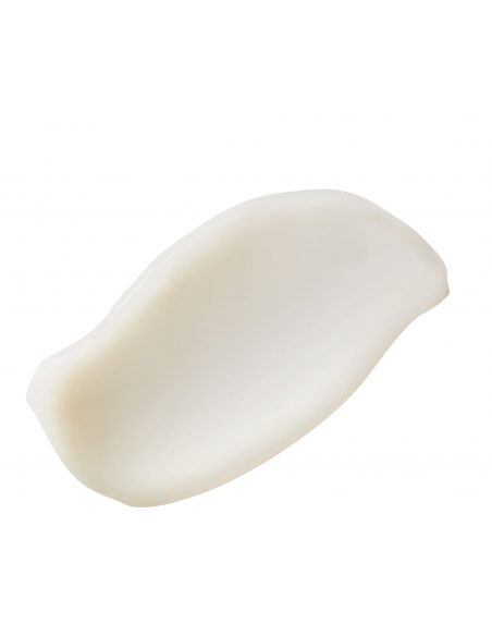 PERRICONE MD HIGH POTENCY HYALURONIC INTENSIVE MOISTURIZER 30ML Inicio y  - PERRICONE MD