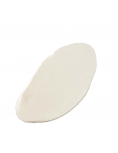 PERRICONE MD NEUROPEPTIDE FIRMING & ILLUMINATING UNDER-EYE CREAM 15ML Inicio y  - PERRICONE MD 2