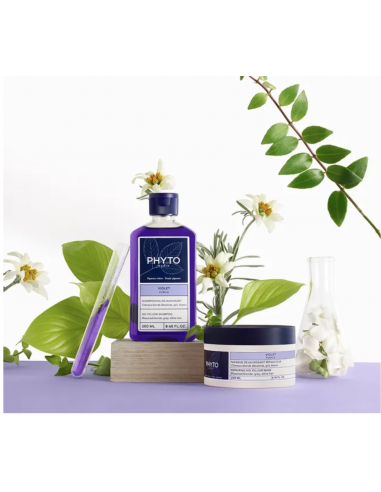 PHYTO VIOLET CHAMPU ANTIAMARILLEO 250ML Inicio y  - PHYTO