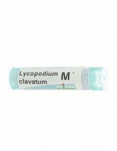 GR LYCOPODIUM CLAVATUM 1000K IMPORTACIONES BOIRON y Inicio - 
