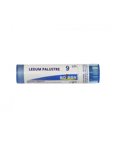GR LEDUM PALUSTRE 9CH IMPORTACIONES BOIRON y Inicio - 