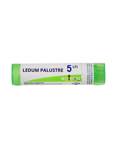 GR LEDUM PALUSTRE 5CH IMPORTACIONES BOIRON y Inicio - 