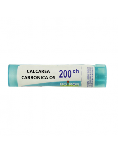 GR CALCAREA CARBONICA OS 200CH IMPORTACIONES BOIRON y Inicio - 