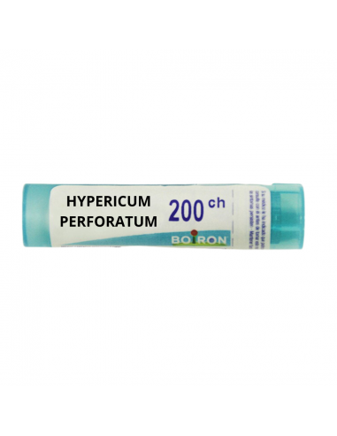 GR HYPERICUM PERFORATUM 200CH IMPORTACIONES BOIRON y Inicio - 