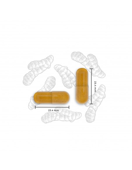 NUTRALIE TURMERIC CURCUMA COMPLEX 120 CAPSULAS Inicio y  - NUTRALIE