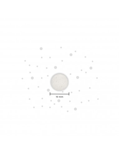 NUTRALIE VITAMINA B12 COMPLEX 120 COMPRIMIDOS Inicio y  - NUTRALIE