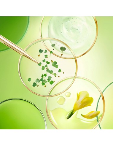 NUXE NUXURIANCE CREMA ANTIEDAD GLOBAL 50ML Inicio y  - NUXE