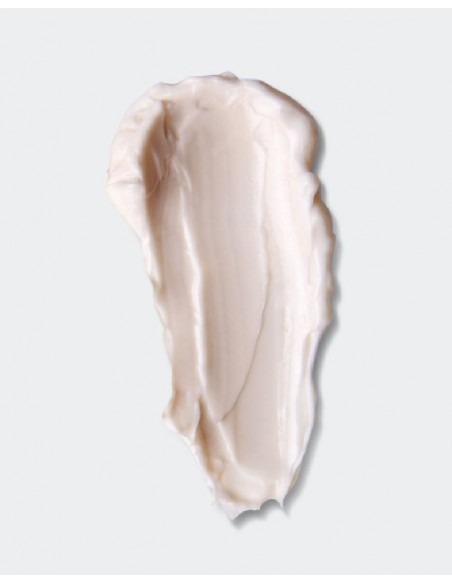 SENSILIS UPGRADE CREMA LIPO-LIFTING NOCHE 50 ML Tratamiento noche y Antiedad - SENSILIS