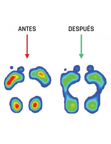 SMOU META PLANTILLA T43/44 Inicio y  - SMOU