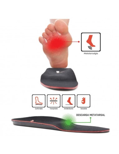 SMOU META PLANTILLA T45/46 Inicio y  - SMOU