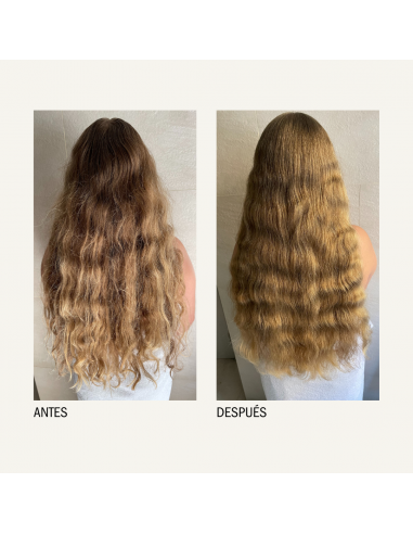 MONCHO MORENO Champus y Higiene Capilar - MONCHO MORENO