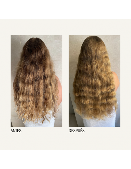 MONCHO MORENO Champus y Higiene Capilar - MONCHO MORENO