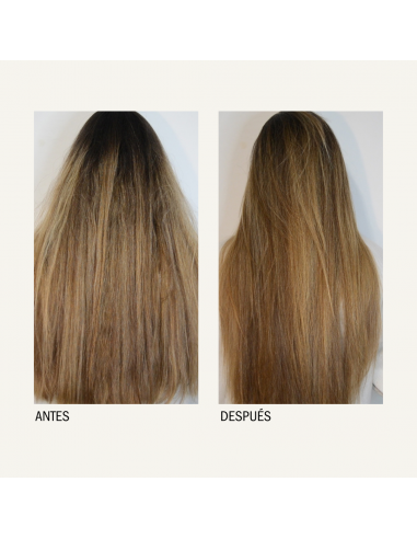 MONCHO MORENO BOND JAIME BOND 100ML Higiene Capilar y Higiene - MONCHO MORENO