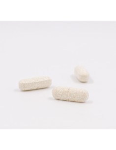 INOVANCE MAGNESIO 60 COMPRIMIDOS Salud y Inicio - PRANAROM 2