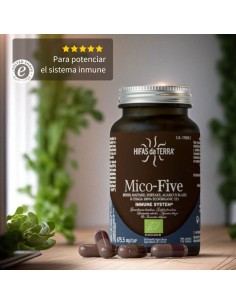 HIFAS DA TERRA MICO-FIVE EXTRACTOS PUROS DE REISHI, SHIITAKE, MAITAKE, CHAMPIÑON DEL SOL Y CHAGA 70 CAPSULAS Complementos alimen 2