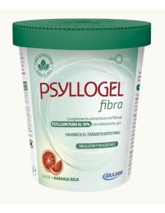 PSYLLOGEL FIBRA NARANJA 170G
