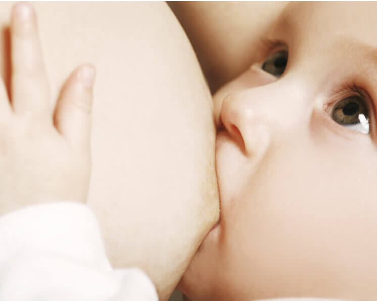 ¿Como cuidar del pecho durante el embarazo y lactancia?